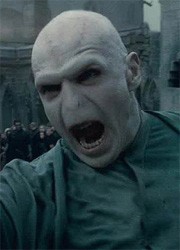 Create meme: Volan de mort, Voldemort Harry Potter