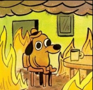 Create meme: dog in the burning house