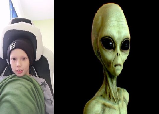 Create meme: ufo aliens, aliens, "Aliens from outer space?" by Tim Shawcross