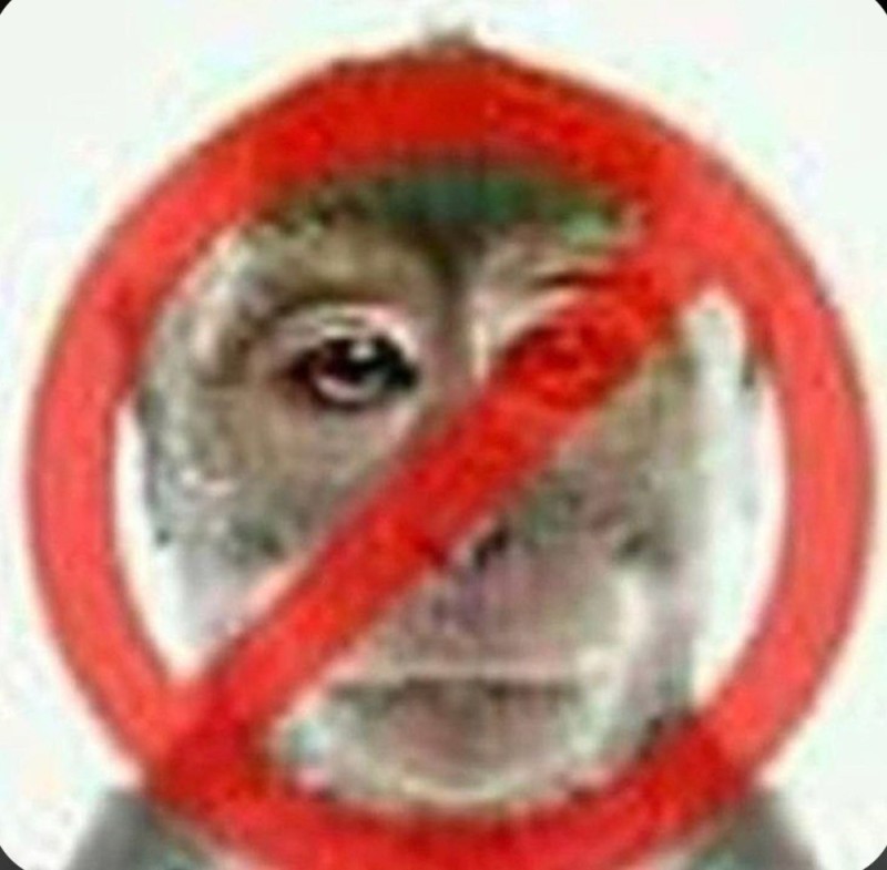 Создать мем: вахуи обезьяна, лицо, обезьяна запрещена