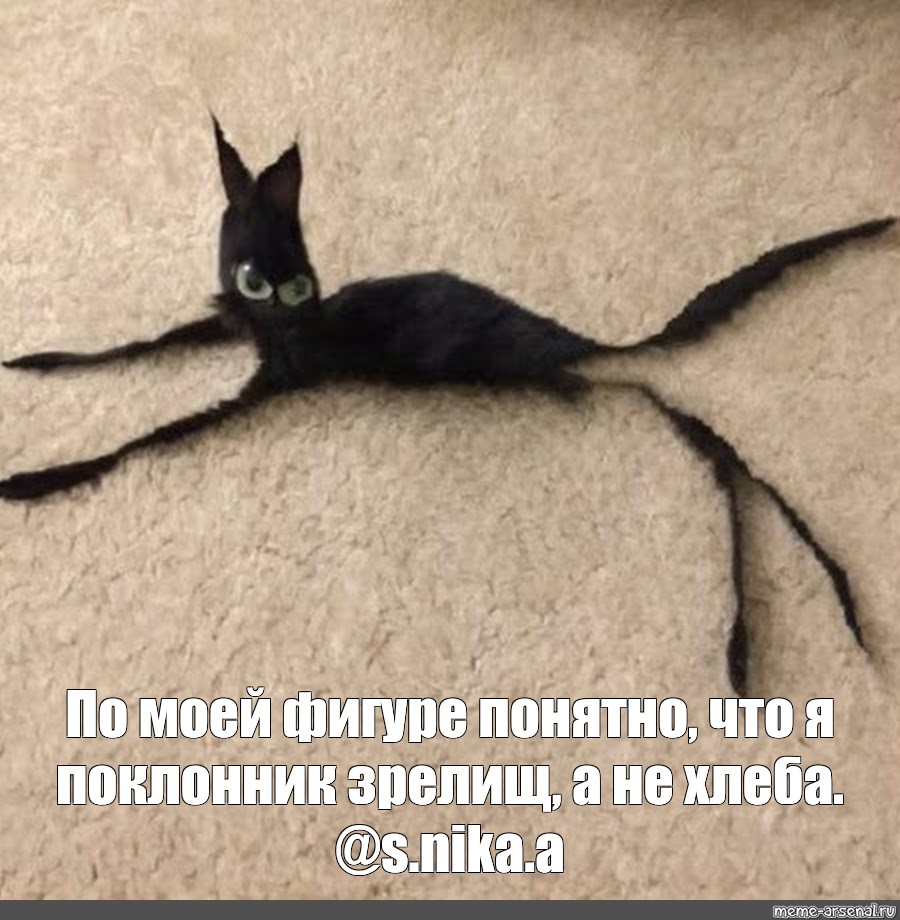 Лапа черной кошки