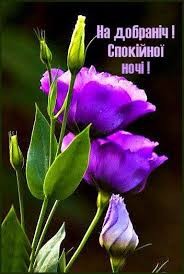 Create meme: eustoma