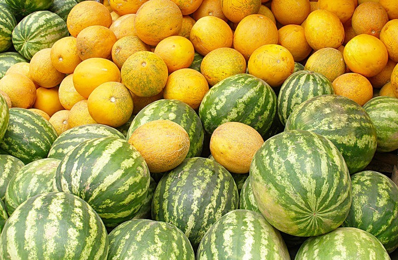 Create meme: watermelon and melon, essa watermelon melon, melon crops