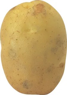 Create meme: seed potatoes, potatoes on a transparent background, potatoes without a background