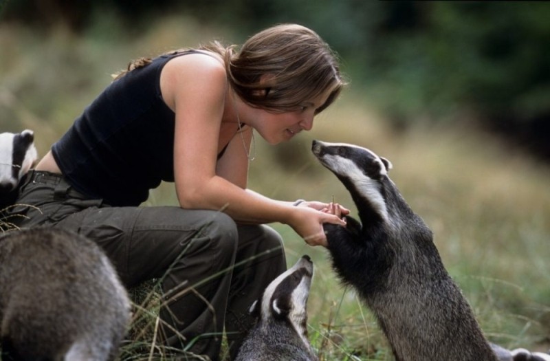 Create meme: badger , animal badger, rehabilitation center