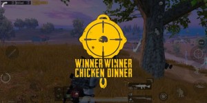 Создать мем: pubg mobile gameplay, winner winner chicken dinner pubg, Скриншот