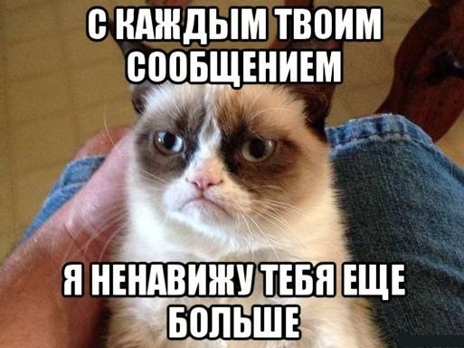 Create meme: grumpy cat , I hate you meme, cat meme 
