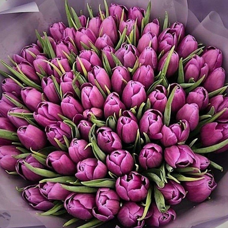 Create meme: monobooks tulips, tulips bouquet, a gorgeous bouquet of tulips