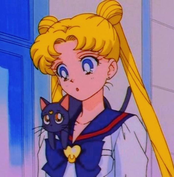 Create meme: sailor moon usagi, usagi sailor moon, sailor moon