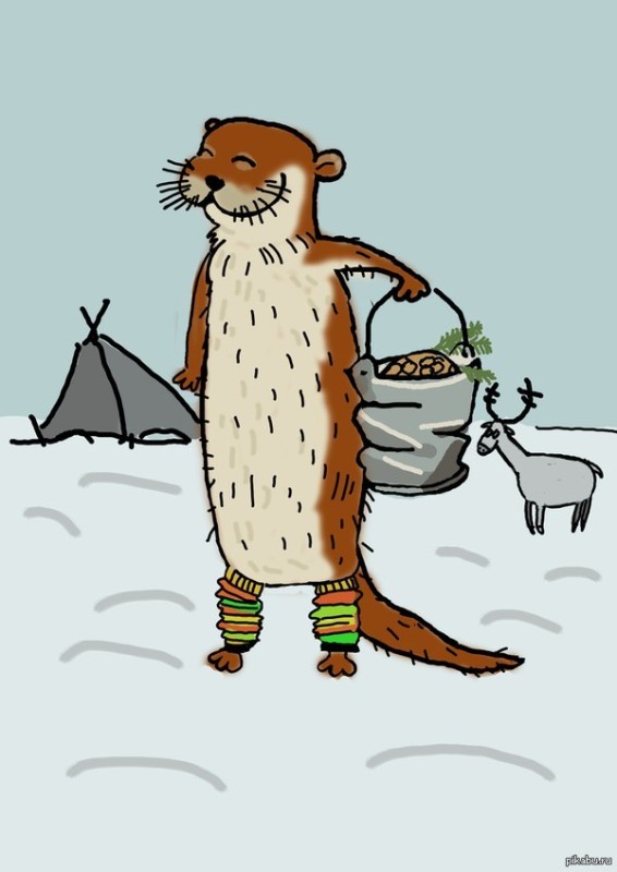 Create meme: otter, otters in gaiters are digging cedar kernels into buckets, otter drawing