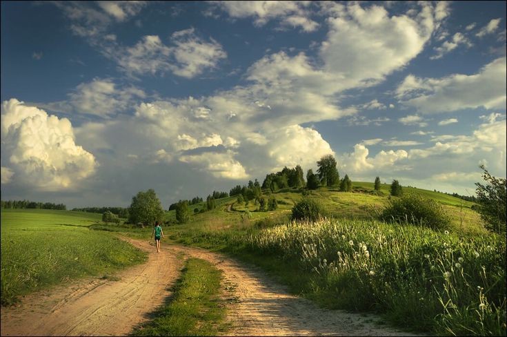 Create meme: landscape field, nature summer village, road landscape