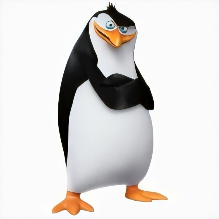 Create meme: Rico the penguins of Madagascar, A penguin from Madagascar, Rico the penguin