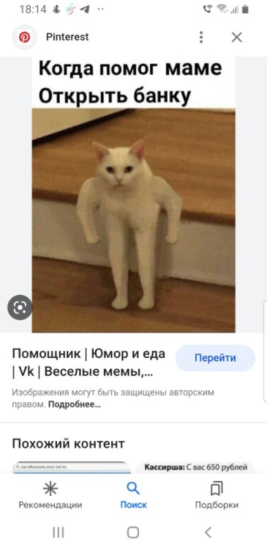 Create meme: meme the jock cat, meme cat with hands, remove the memes cat