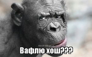 Create meme: chimpanzee, pensive monkey, chimpanzees