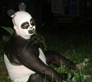 Создать мем: человек панда, смешные морды животных, страшная панда