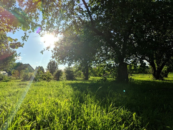 Create meme: The nature of summer, Artyomov meadows, Kstovsky district, summer in nature