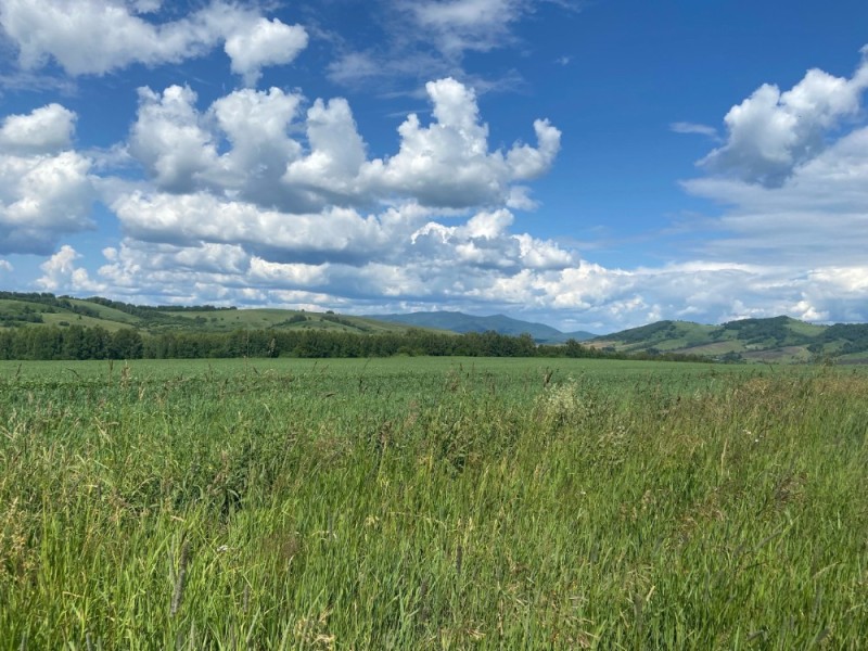 Create meme: meadow , nature , the expanses of bashkiria nature