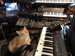 Создать мем: кейборд кэт, музыкальный кот, синтезатор для студии звукозаписи