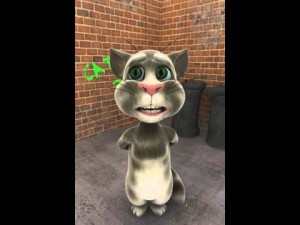 Создать мем: игра talking tom cat (2010), говорящий кот, talking tom