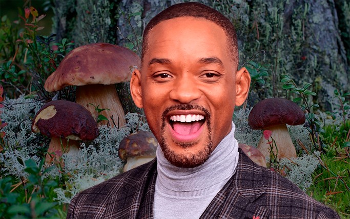 Create meme: the forest and its inhabitants, herbaceous plants , will Smith 