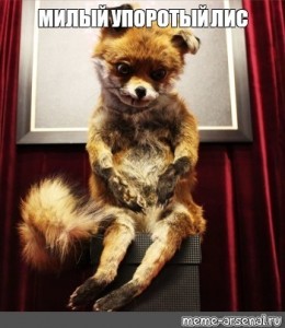 Create meme: a stuffed Fox meme, uporotyh Fox, stoned Fox original