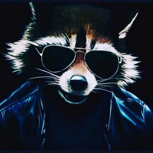 Create meme: photo at avu in the VC, raccoon with glasses picture, raccoon with goggles Wallpaper