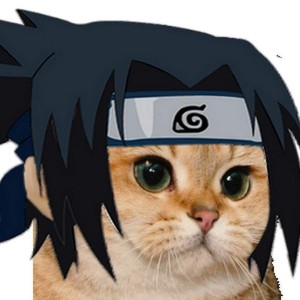 Create meme: anime cats, cat naruto