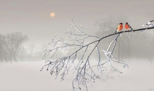 Create meme: winter nature, birds in winter, bird on a branch
