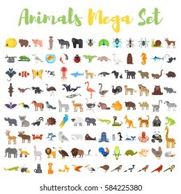 Create meme: small animals, animals vector