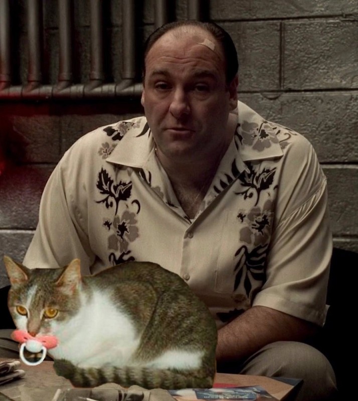 Создать мем: энтони сопрано, tony soprano, мужчина