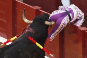 Create meme: matador, bull, jerk