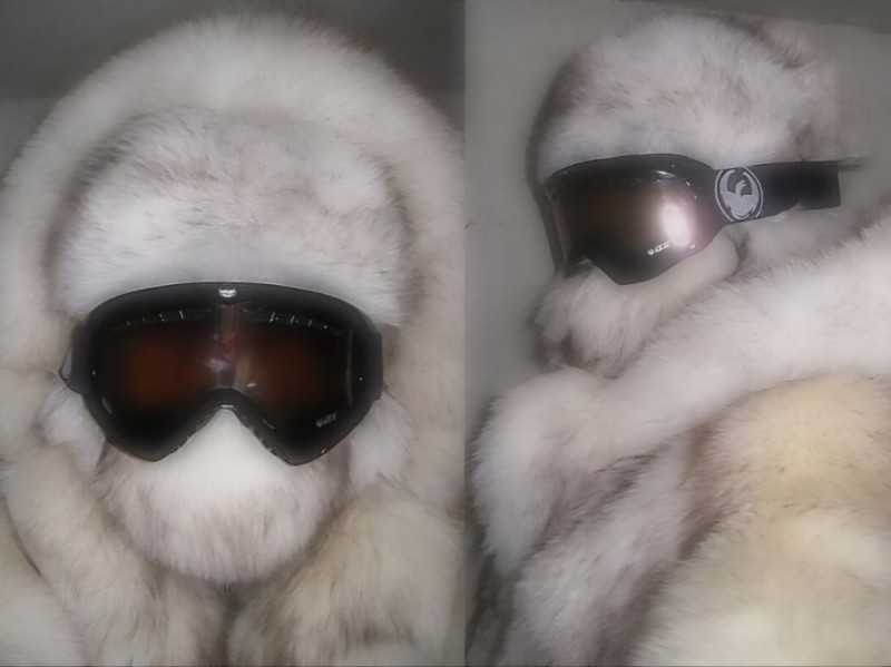 Create meme: steam client, beautiful fur coats, fur