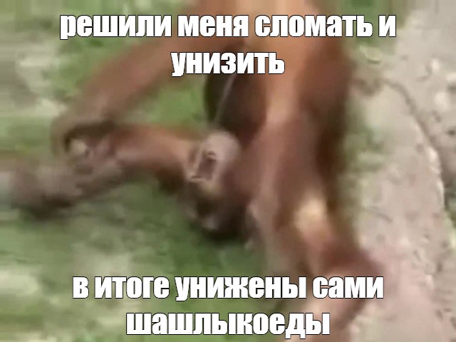 Создать мем: null