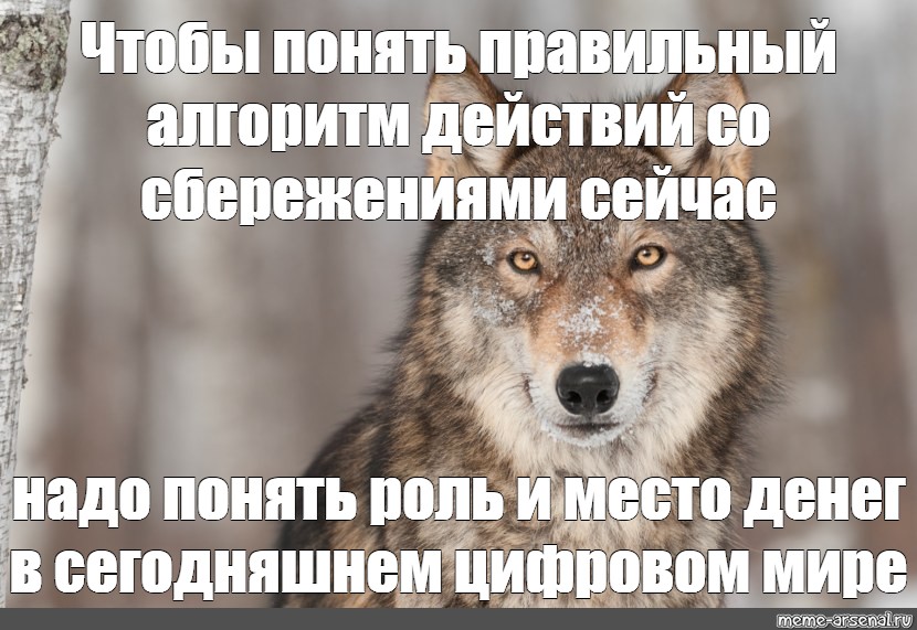 Мне сейчас надо. Как ты думаешь использует ли волк хитрость.