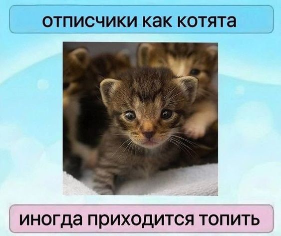 Создать мем: маленькие котятки, очаровательные котята, котëнок