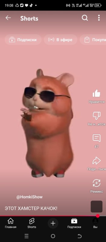 Create meme: cool hamster, hamsters meme, A hamster with glasses