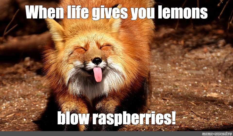 Meme "When life gives you lemons blow raspberries!" All Templates