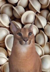 Create meme: Caracal