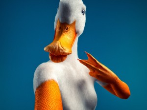 Create meme: fun Gus, duck, goose