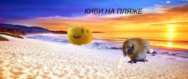 Create meme: the kiwi , kiwi kiwi bird, kiwi bird