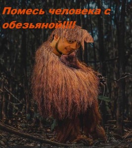 Создать мем: мир природы, ведьма в лесу собирает хворост фотосессия, человек