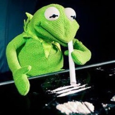 Create meme: Kermit the frog , Kermit the frog, Kermit the frog cocaine