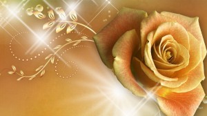 Create meme: cards beautiful, roses background, postcard