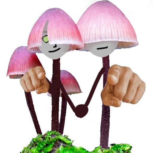 Create meme: mycena mushroom, psilocybe mushroom, The mycenae is clean