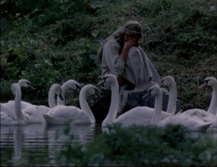 Create meme: wild swans movie 1987, wild swans, wild swans 1987