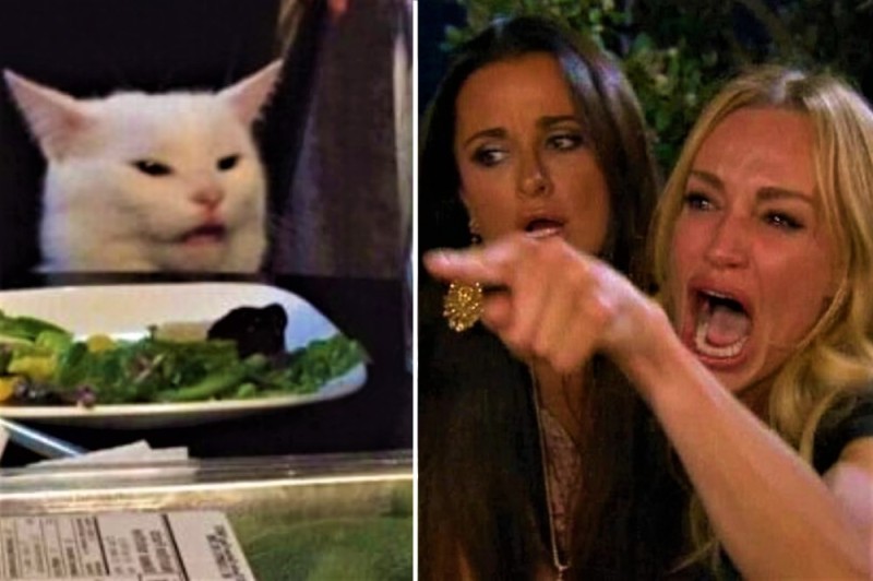 Create meme: meme with two girls and a cat, memes with a cat and girls, meme with a cat in a restaurant