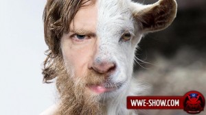 Create meme: goat, goat, the muzzle of a goat