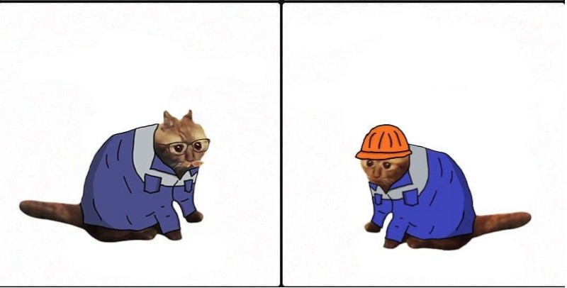 Create meme: The hard worker meme, heroes of the meme, the cat is a hard worker