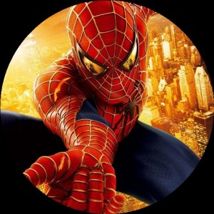 Create meme: DSP spider man photo, the amazing spider man, spider man avatar