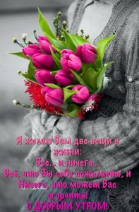 Create meme: beautiful flowers, tulips, postcard